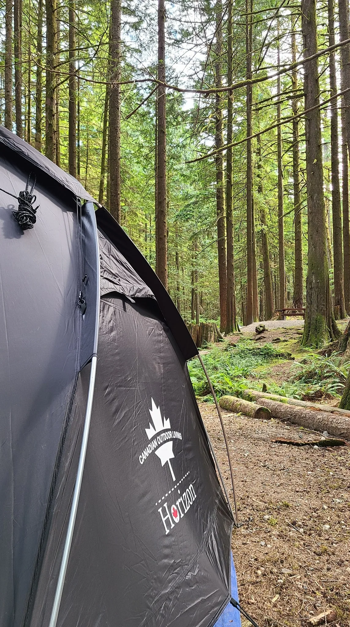 Horizon tent set beside a forest campsite trail