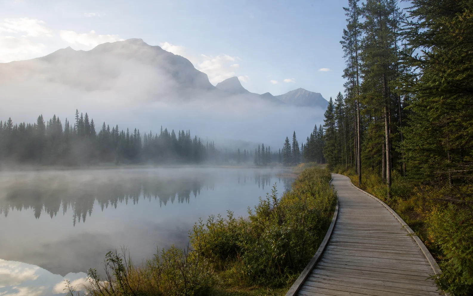 Quiet lakeside forest boardwalk in morning mist at a Canadian national park